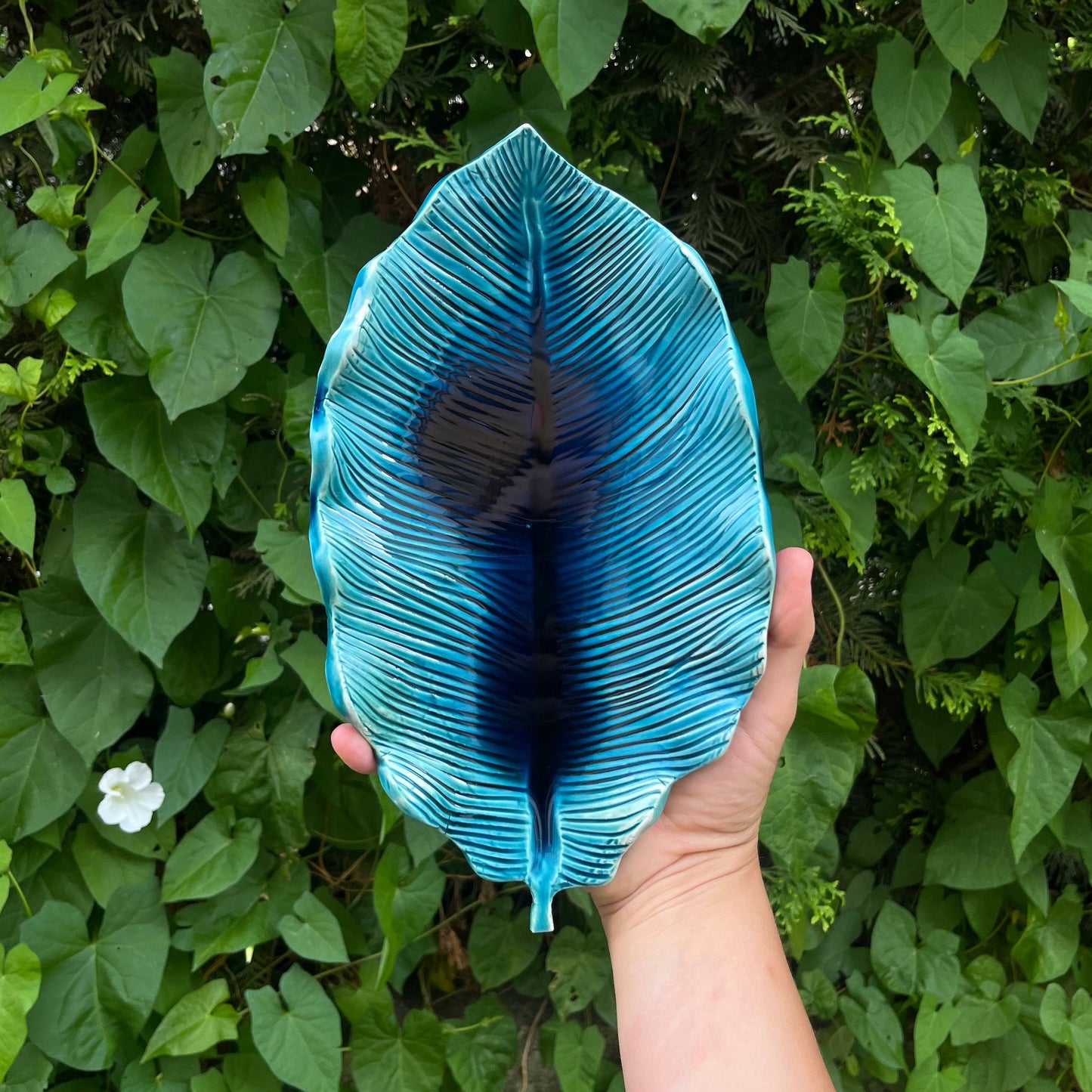 Leaf plates 18.04