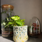 🌿 Ceramic Plant Pot Workshop - 13.09