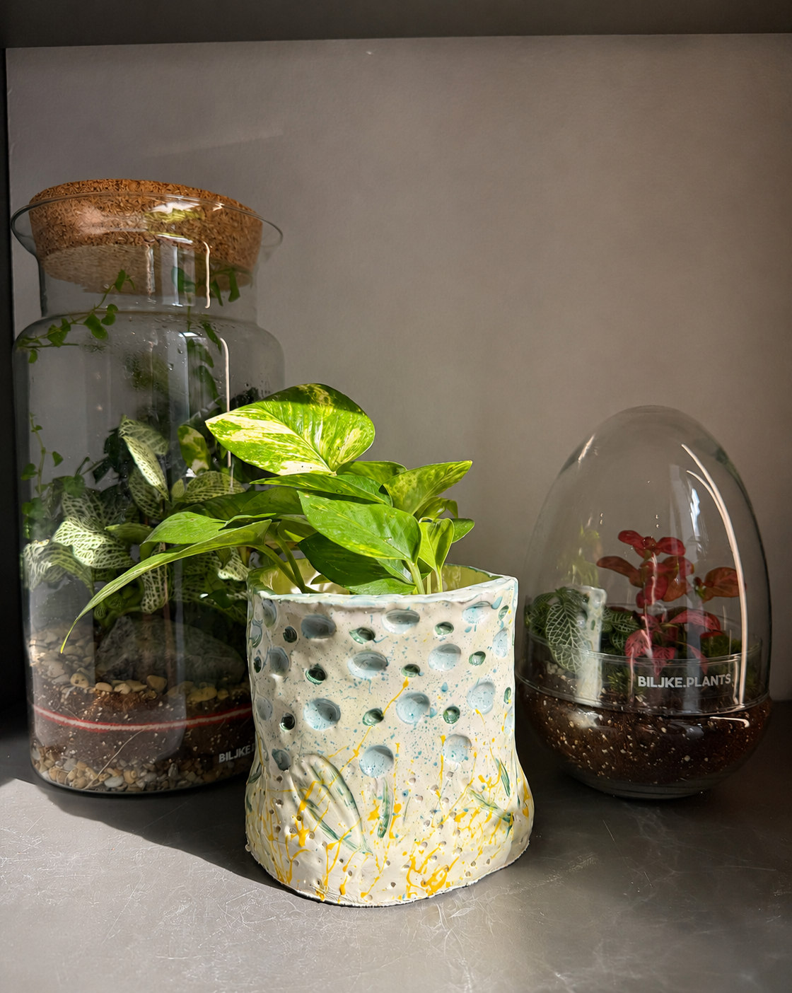 🌿 Ceramic Plant Pot Workshop - 13.09