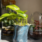 🌿 Ceramic Plant Pot Workshop - 13.09