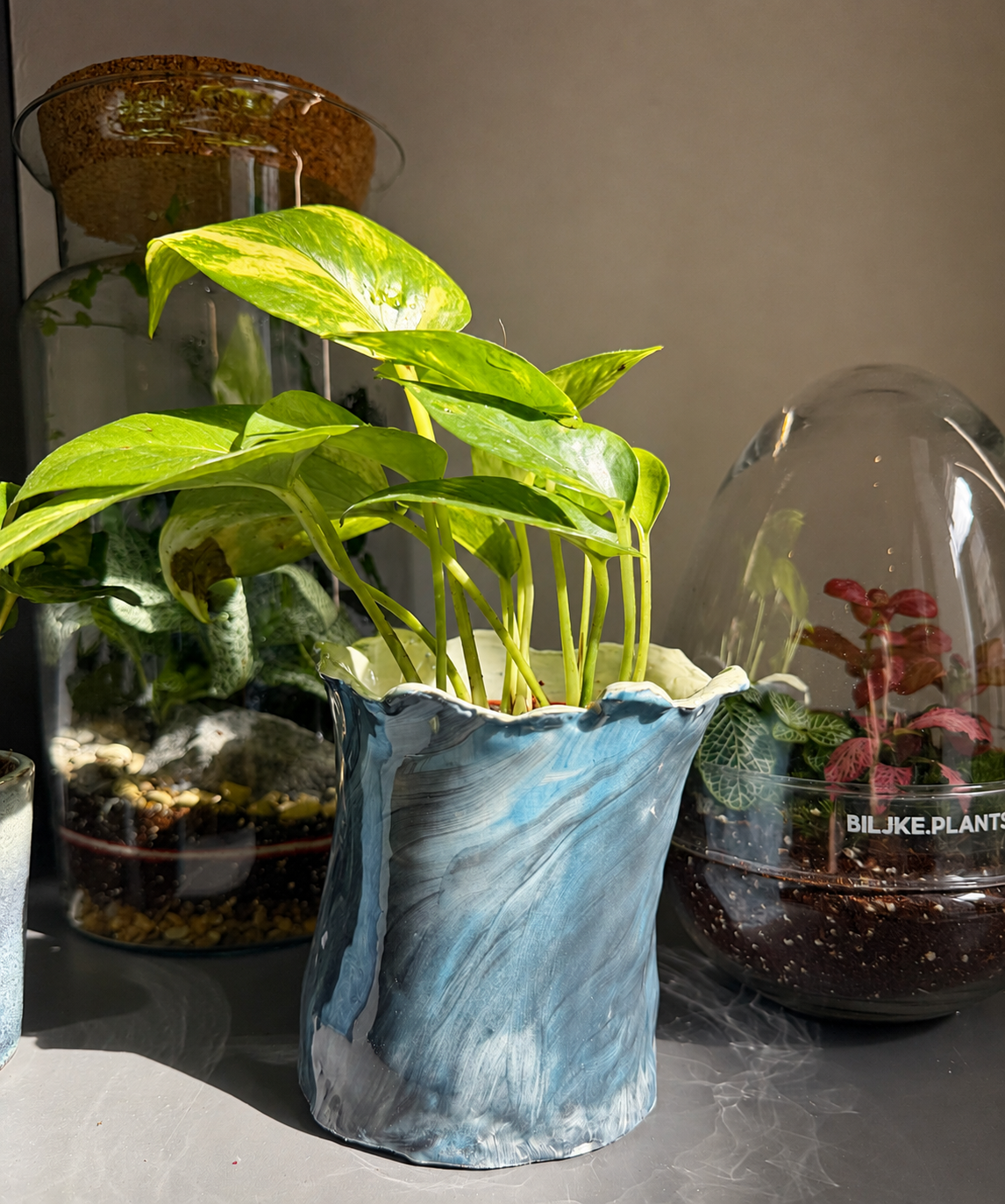 🌿 Ceramic Plant Pot Workshop - 13.09