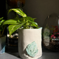 🌿 Ceramic Plant Pot Workshop - 13.09