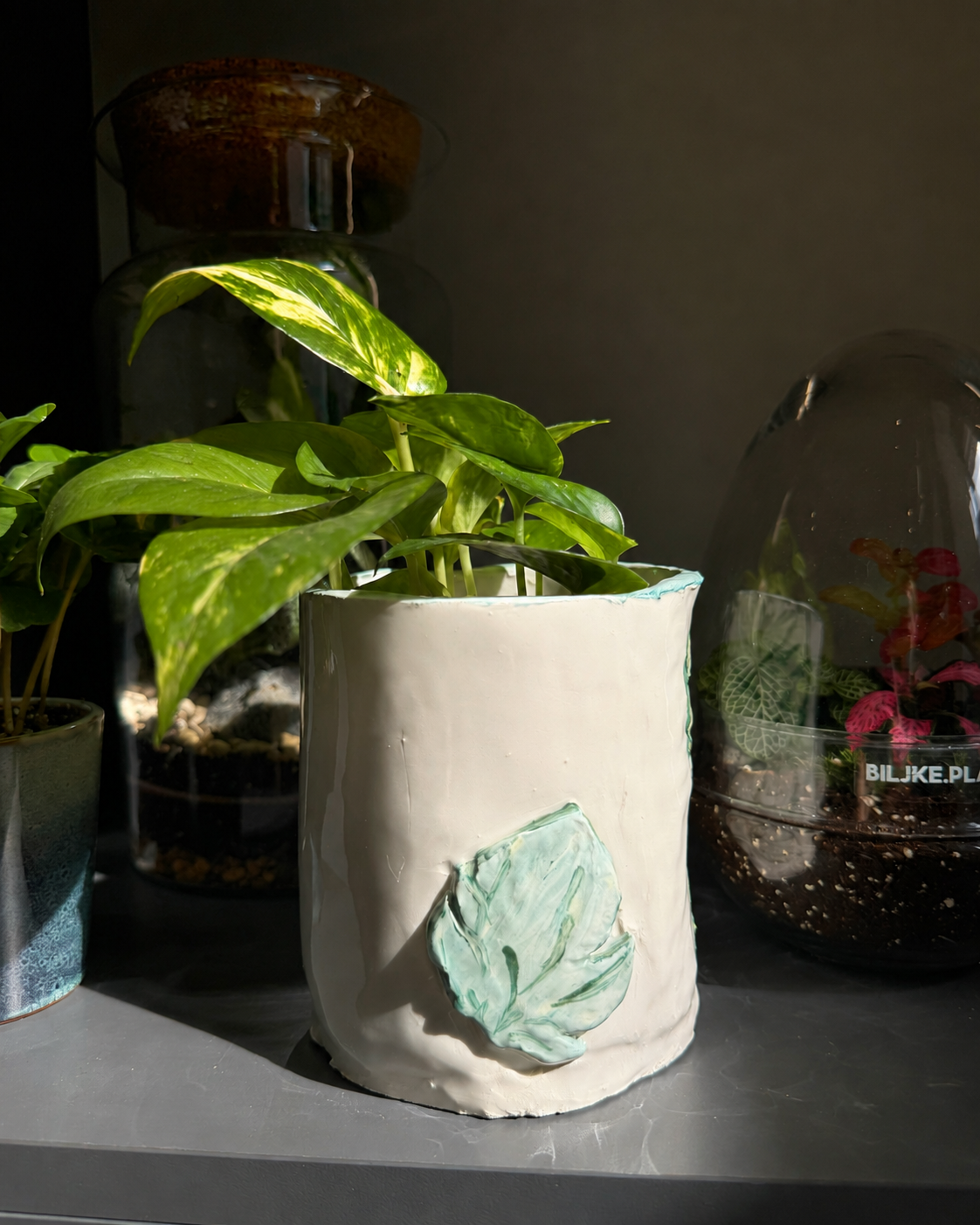 🌿 Ceramic Plant Pot Workshop - 13.09