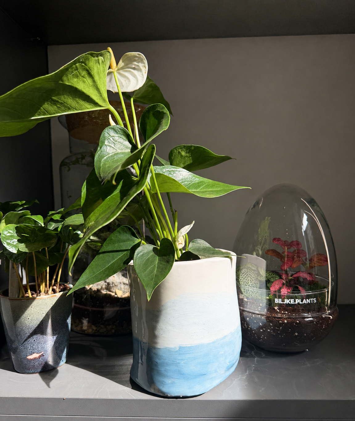 🌿 Ceramic Plant Pot Workshop - 13.09