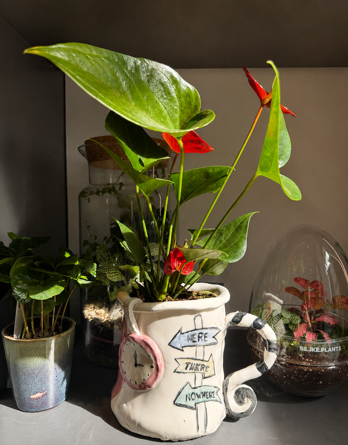 🌿 Ceramic Plant Pot Workshop - 13.09