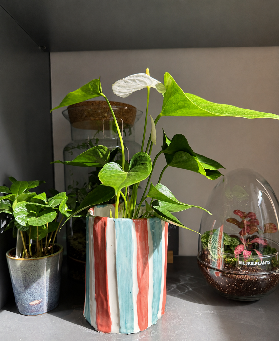 🌿 Ceramic Plant Pot Workshop - 13.09