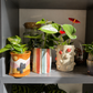 🌿 Ceramic Plant Pot Workshop - 13.09