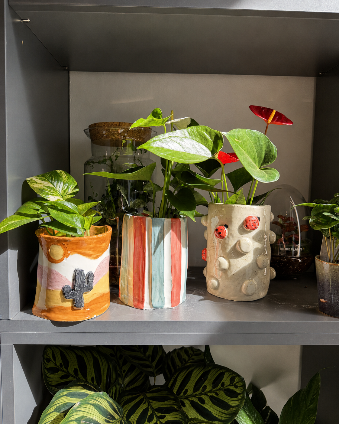 🌿 Ceramic Plant Pot Workshop - 13.09