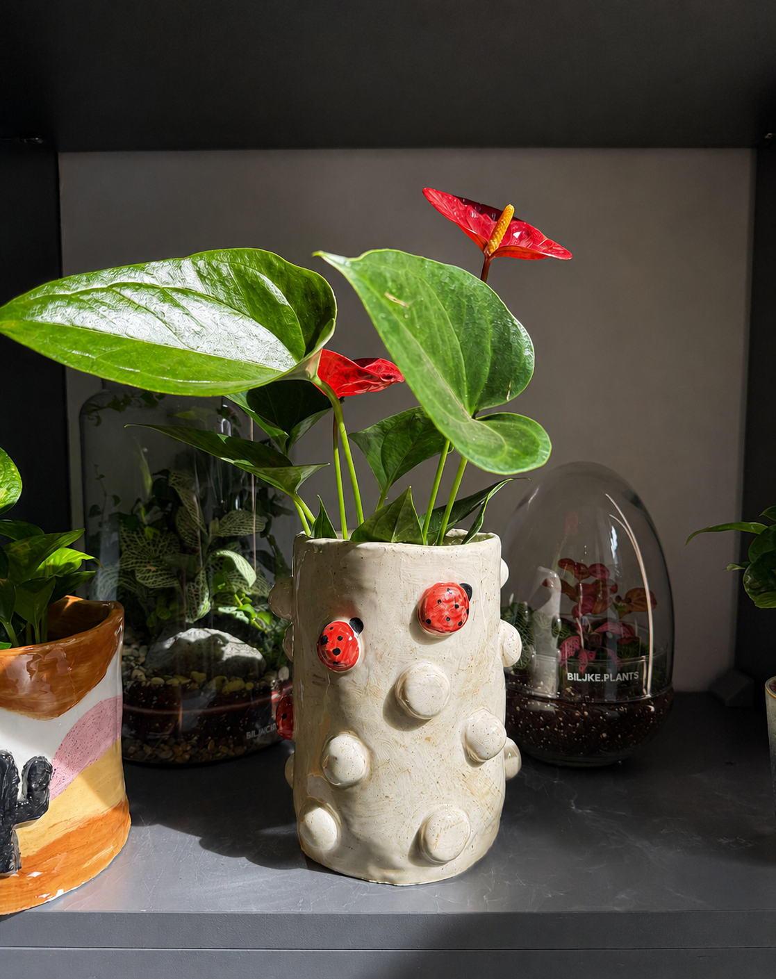 🌿 Ceramic Plant Pot Workshop - 13.09