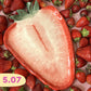 Clay & Wine: Fruit plates | workshop
