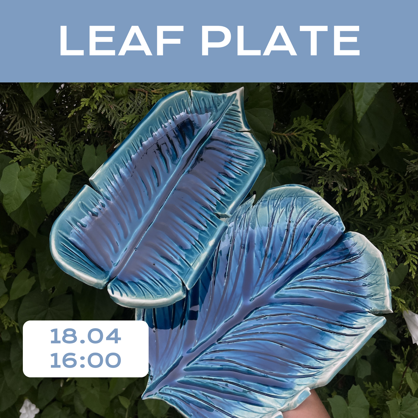 Leaf plates 18.04