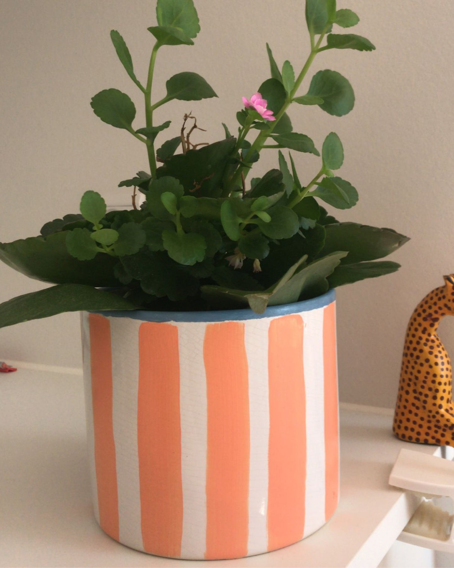 🌿 Radionica izrade keramičkih posuda za biljke