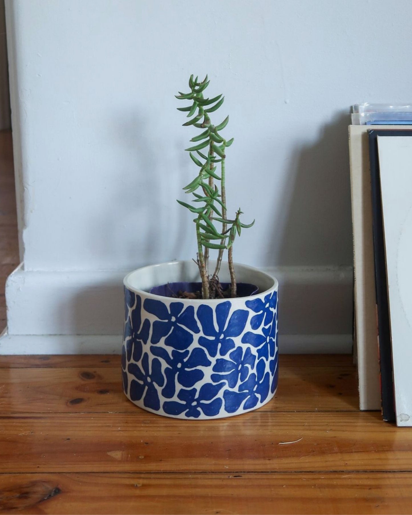 🌿 Radionica izrade keramičkih posuda za biljke