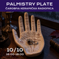 Palmistry Plate - 10.10
