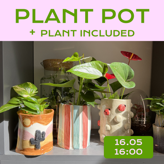 🌿 Ceramic Plant Pot Workshop