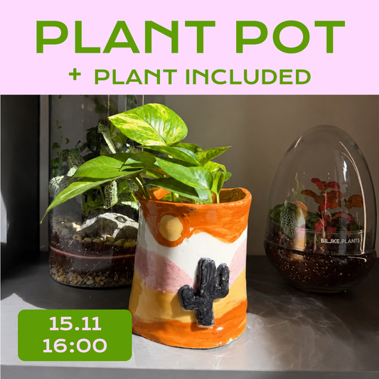🌿 Ceramic Plant Pot Workshop - 15.11