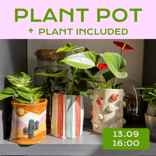 🌿 Ceramic Plant Pot Workshop - 13.09